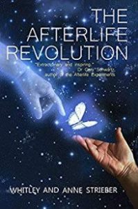 Book Cover: The Afterlife Revolution