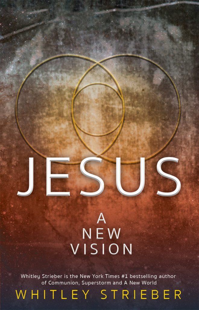 Book Cover: Jesus: A New Vision