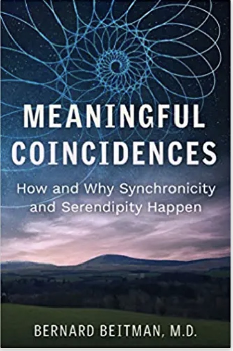 Book Cover: Meaningful Coincidences